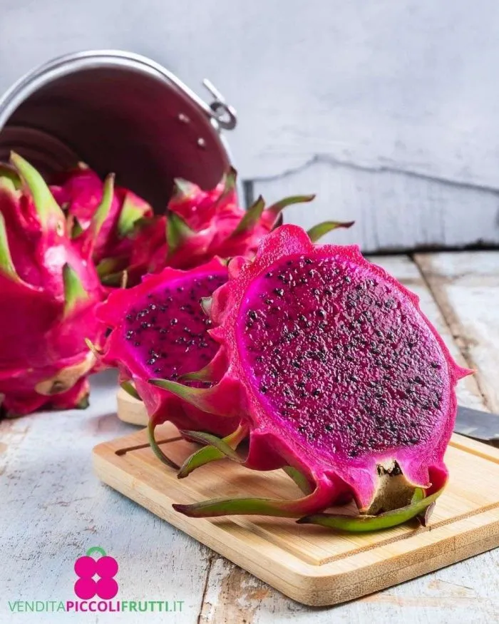 dragon-fruit-rosa-700x875-1 Image