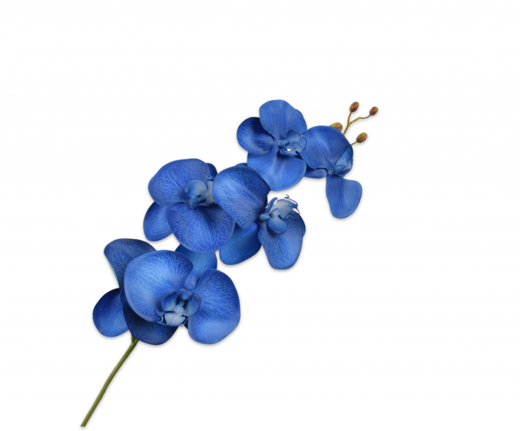 ORCHID STEM BLUE DK 80 CM Green Mall