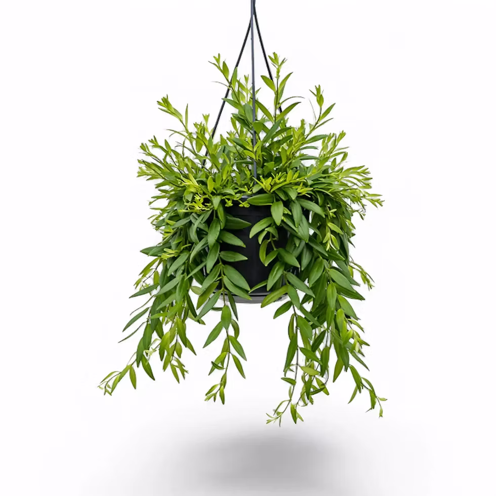 0906d2_3b2210d0fc9e435aa8567dce40f3b3ab~mv2