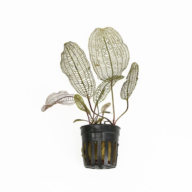 85327b6f-ffff-4d1e-9723-7846bb7fbac7