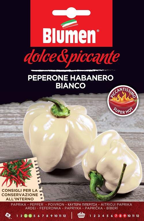 VBS1034_HABANERO_BIANCO_EST