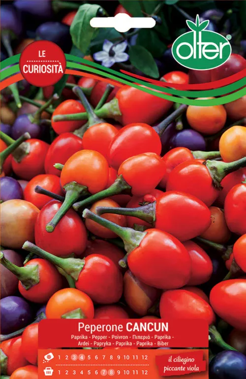 N28608-Peperoncino-CANCUN-e1516742286554.jpg Image