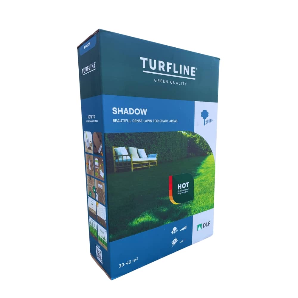 &gamma;&kappa;&alpha;&zeta;&omicron;&nu;-1kg