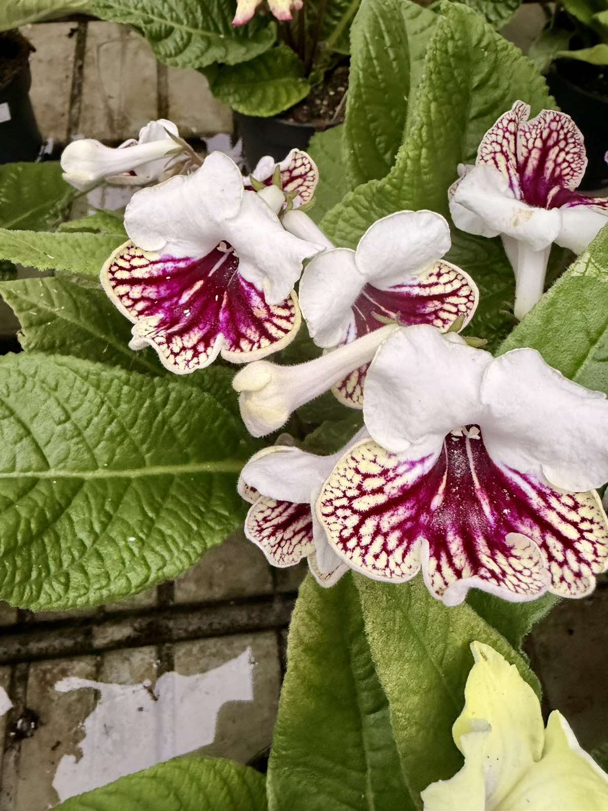 &epsilon;&iota;&kappa;ό&nu;&alpha;_Viber_2026-04-02_09-38-39-054