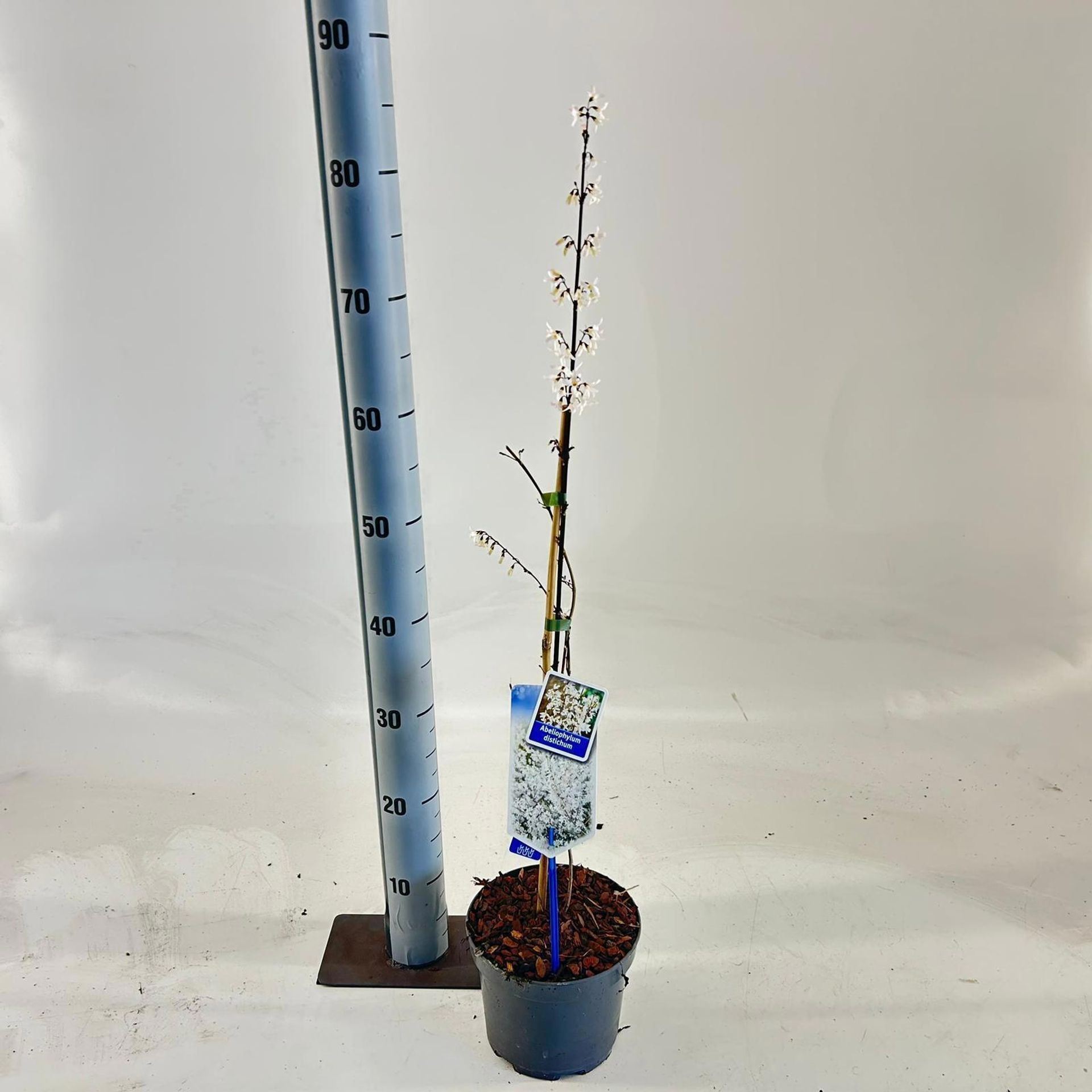 3ca31dfd-39a6-421d-bd5c-e847cc16e460