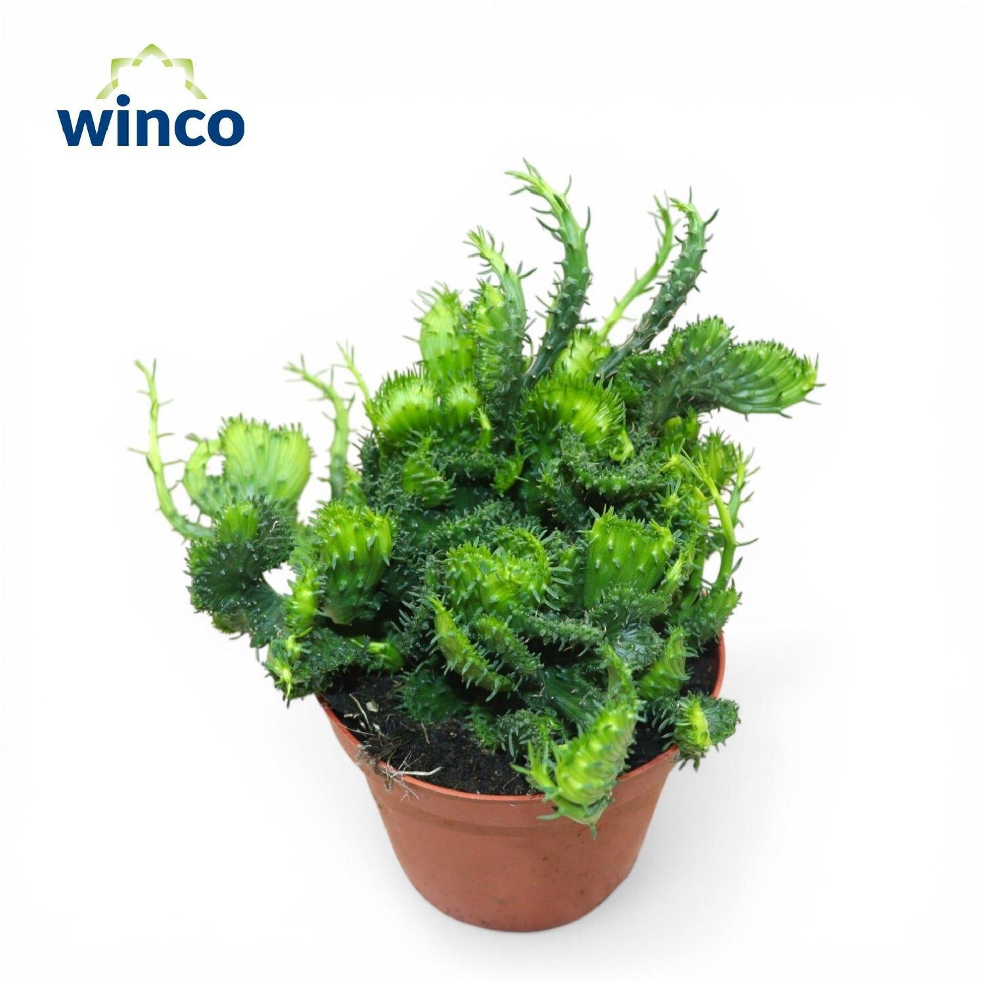 7cc57955-5cac-4873-8d66-38e30e877827